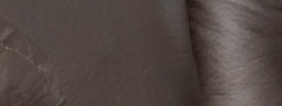 216 68 21