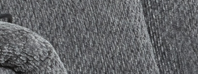 247 51 60